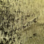 Corduroy Stretch Velvet Fabric - Prismatic Fiber Arts