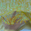 Nebill Stretch Sequins Lace Fabric - Prismatic Fiber Arts