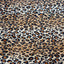 Leopard Print Stretch Velvet Fabric - Prismatic Fiber Arts