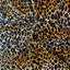 Leopard Print Stretch Velvet Fabric - Prismatic Fiber Arts