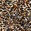 Leopard Print Stretch Velvet Fabric - Prismatic Fiber Arts