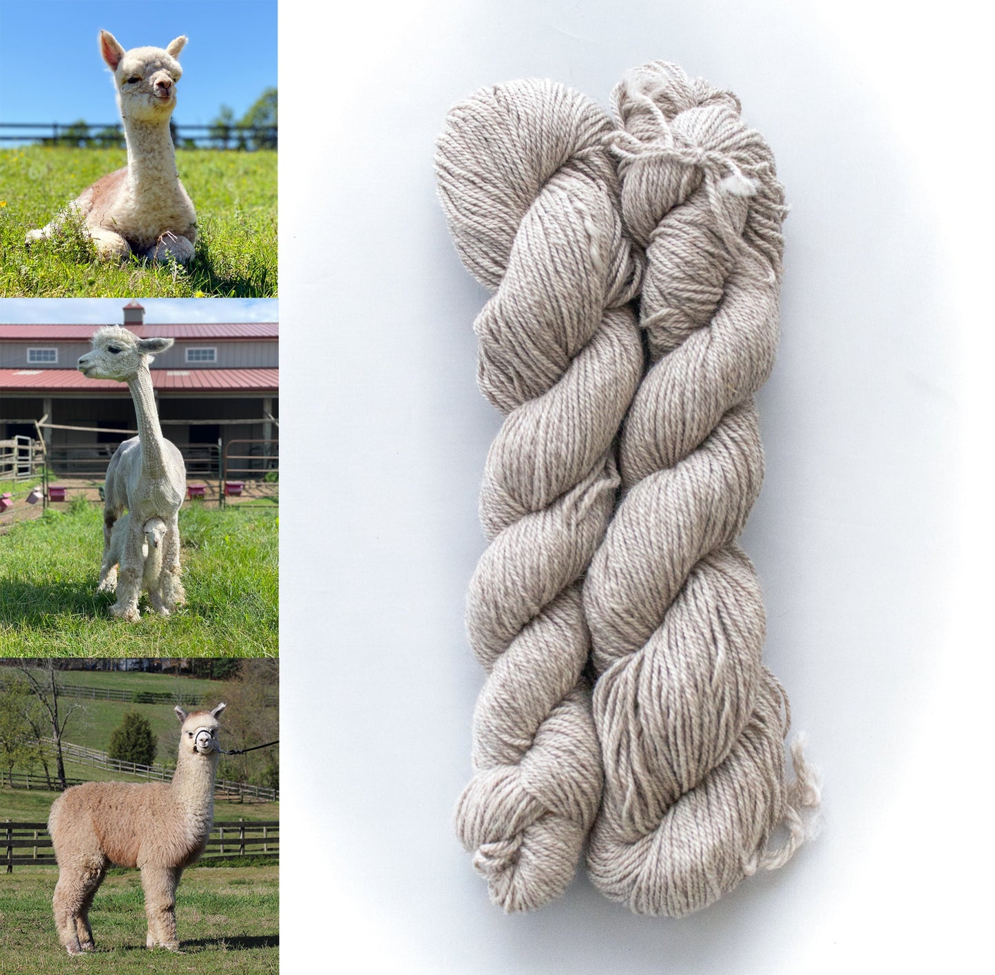 All Natural 3ply Farm Yarn - Prismatic Fiber Arts