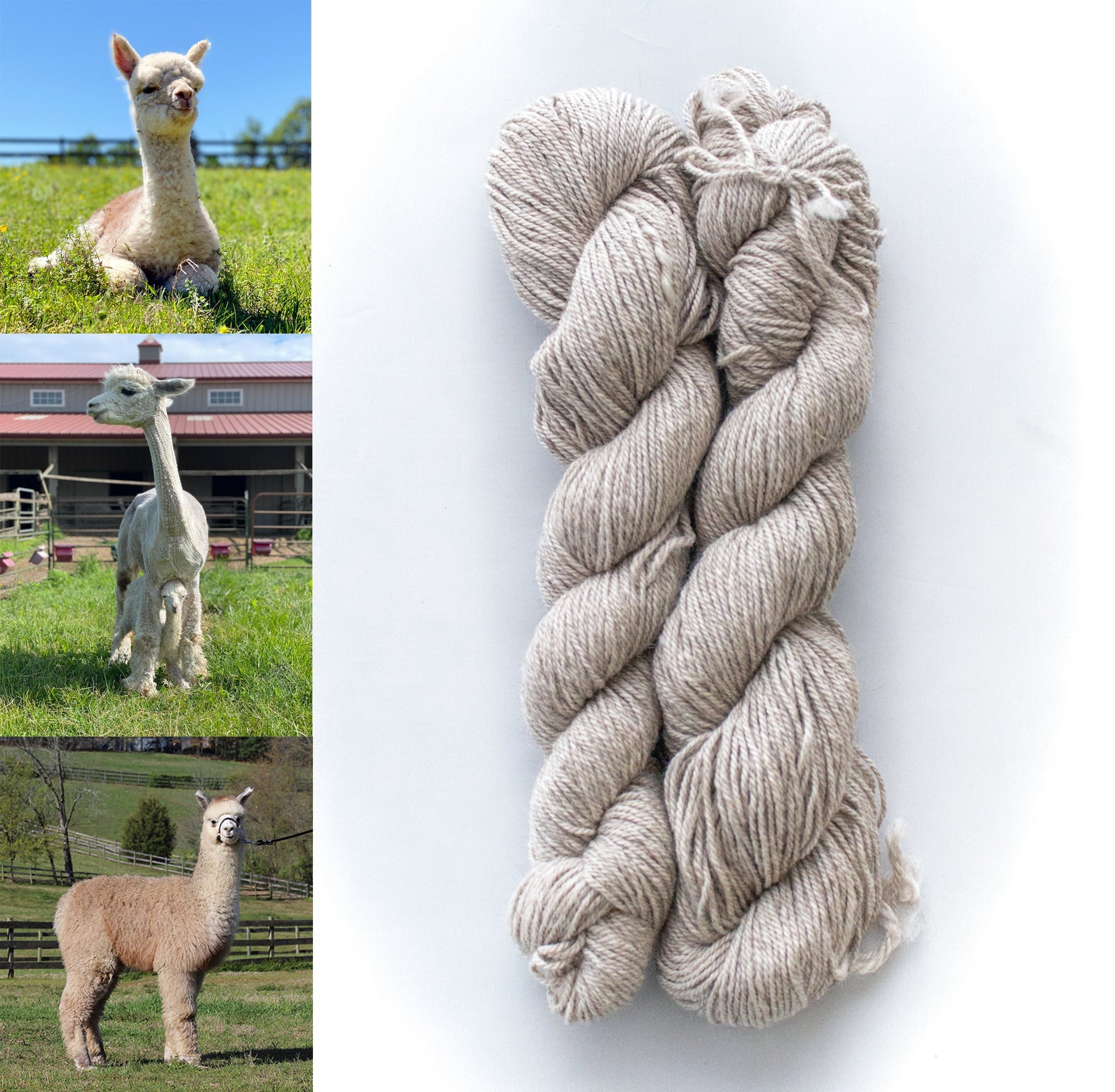 All Natural 3ply Farm Yarn - Prismatic Fiber Arts