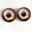 Loch Ness Monster Sew-On Button Glass Eyes - Prismatic Fiber Arts