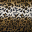 Leopard Print Fleece Fabric - Prismatic Fiber Arts