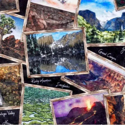 Multi Black National Parks Digital Cuddle Black Fabric per yard - Prismatic Fiber Arts