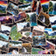 Multi Black National Parks Digital Cuddle Black Fabric per yard - Prismatic Fiber Arts