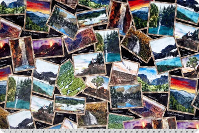 Multi Black National Parks Digital Cuddle Black Fabric per yard - Prismatic Fiber Arts
