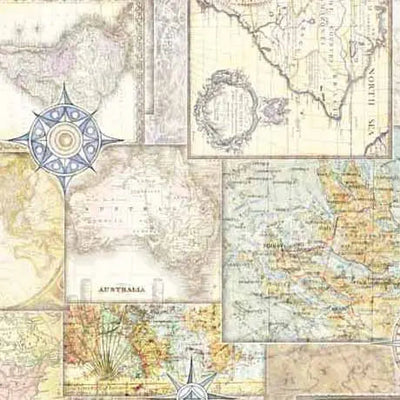 Multi Color Travel Maps Cotton Wideback Fabric per yard - Prismatic Fiber Arts