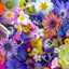 Multi Floral Kaleidoscope Cotton Wideback Fabric per yard - Prismatic Fiber Arts