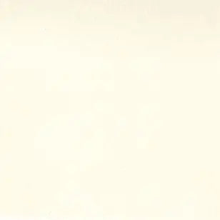 Natural Muslin Cotton 200 Count Wideback Fabric Per Yard 110" - Prismatic Fiber Arts