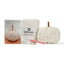 Crochet Pumpkin DIY Kit by Ganxxet x LilyBirdCrochet - Prismatic Fiber Arts