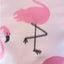 Pink Flamingo Print Anti-Pill Polar Fleece Fabric – 60 Inches Wide | Cozy & Fun | FabricLA - Prismatic Fiber Arts