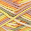 Ricorumi Multis Plus Yarn