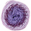 Ricorumi Spin Spin DK Yarn - Prismatic Fiber Arts