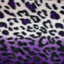Leopard Print Fleece Fabric - Prismatic Fiber Arts