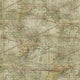 Natural Expedition Cotton Wideback Fabric Per Yard - Prismatic Fiber Arts