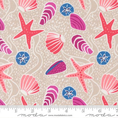 Reef Sea Shells Sand Cotton 44"/45" Fabric Per Yard - Prismatic Fiber Arts