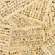 Natural Antique Library of Rarities Cotton Wideback Fabric Per Yard - Prismatic Fiber Arts