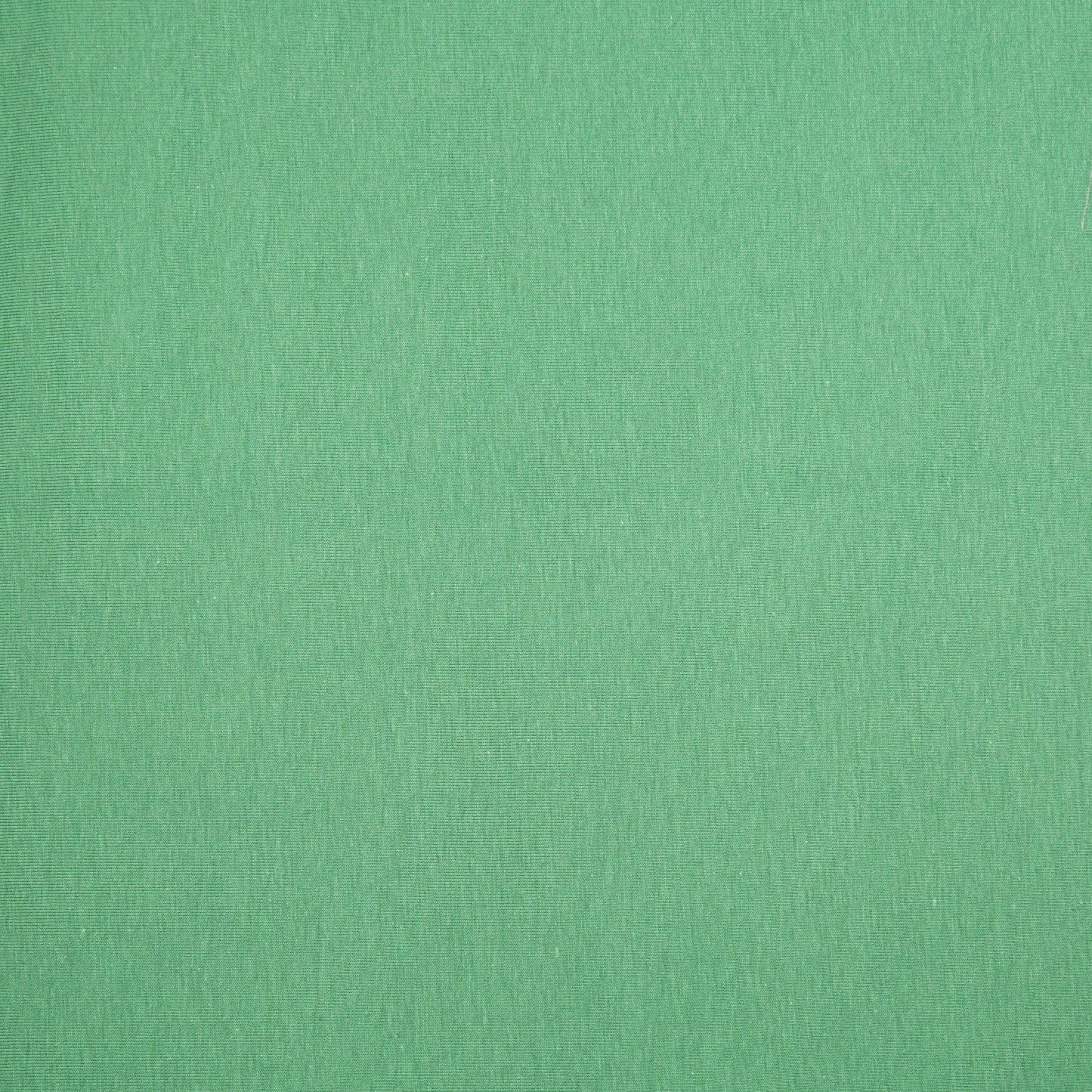 FabricLA 10 oz Cotton Spandex Jersey Knit Fabric – 4-Way Stretch | Sage - Prismatic Fiber Arts