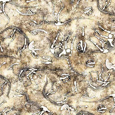 Sand Savage Kingdom Dino Bones Cotton 44"/45" Fabric Per Yard