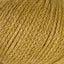 Wizard Yarn