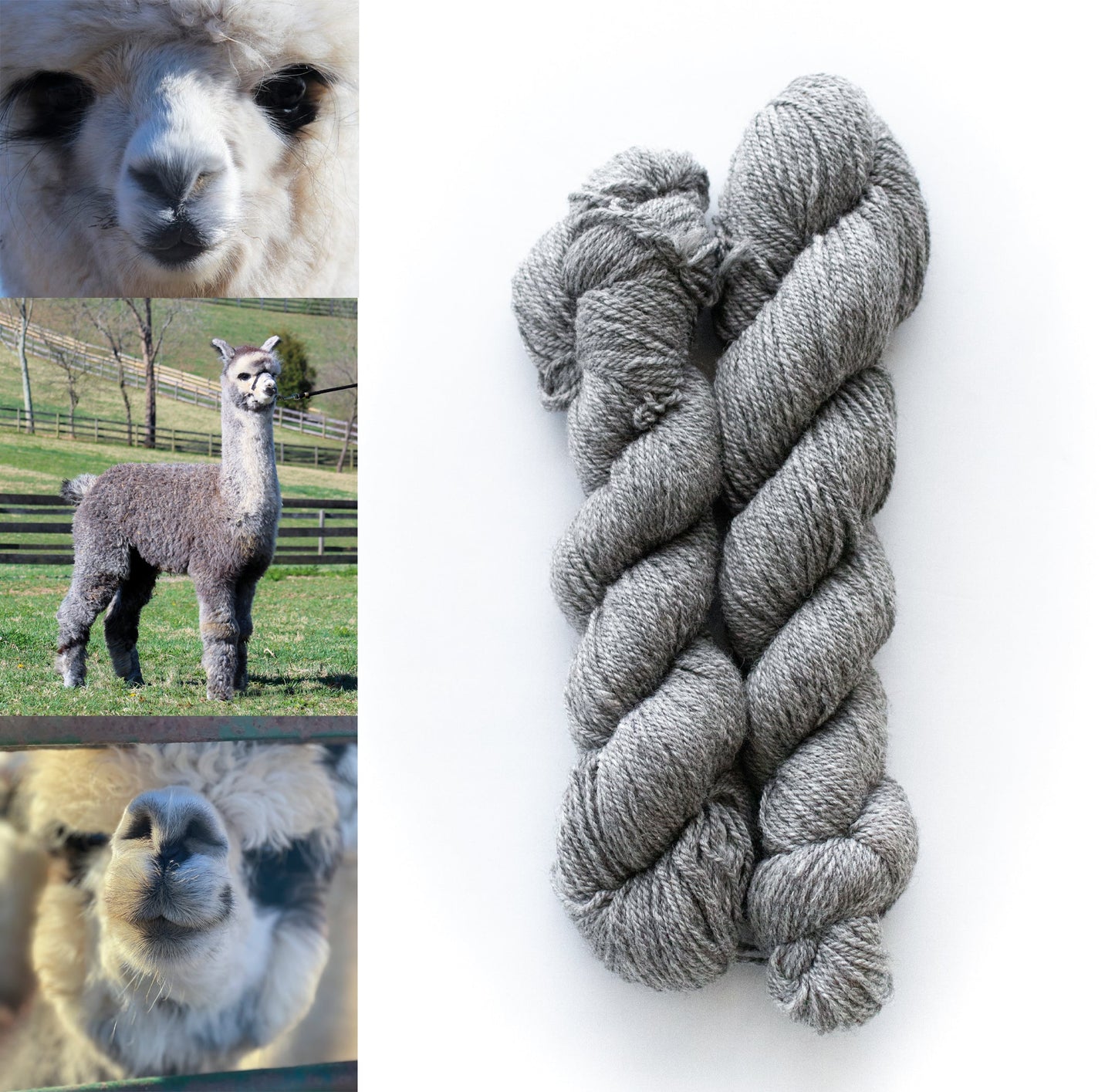 All Natural 3ply Farm Yarn - Prismatic Fiber Arts