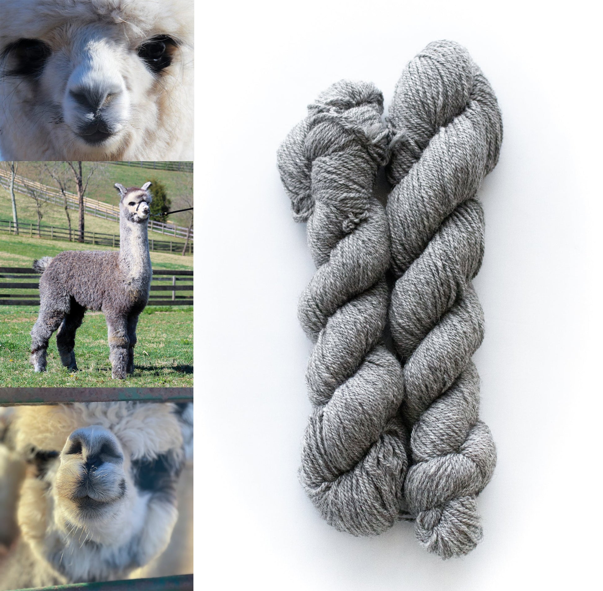 All Natural 3ply Farm Yarn - Prismatic Fiber Arts