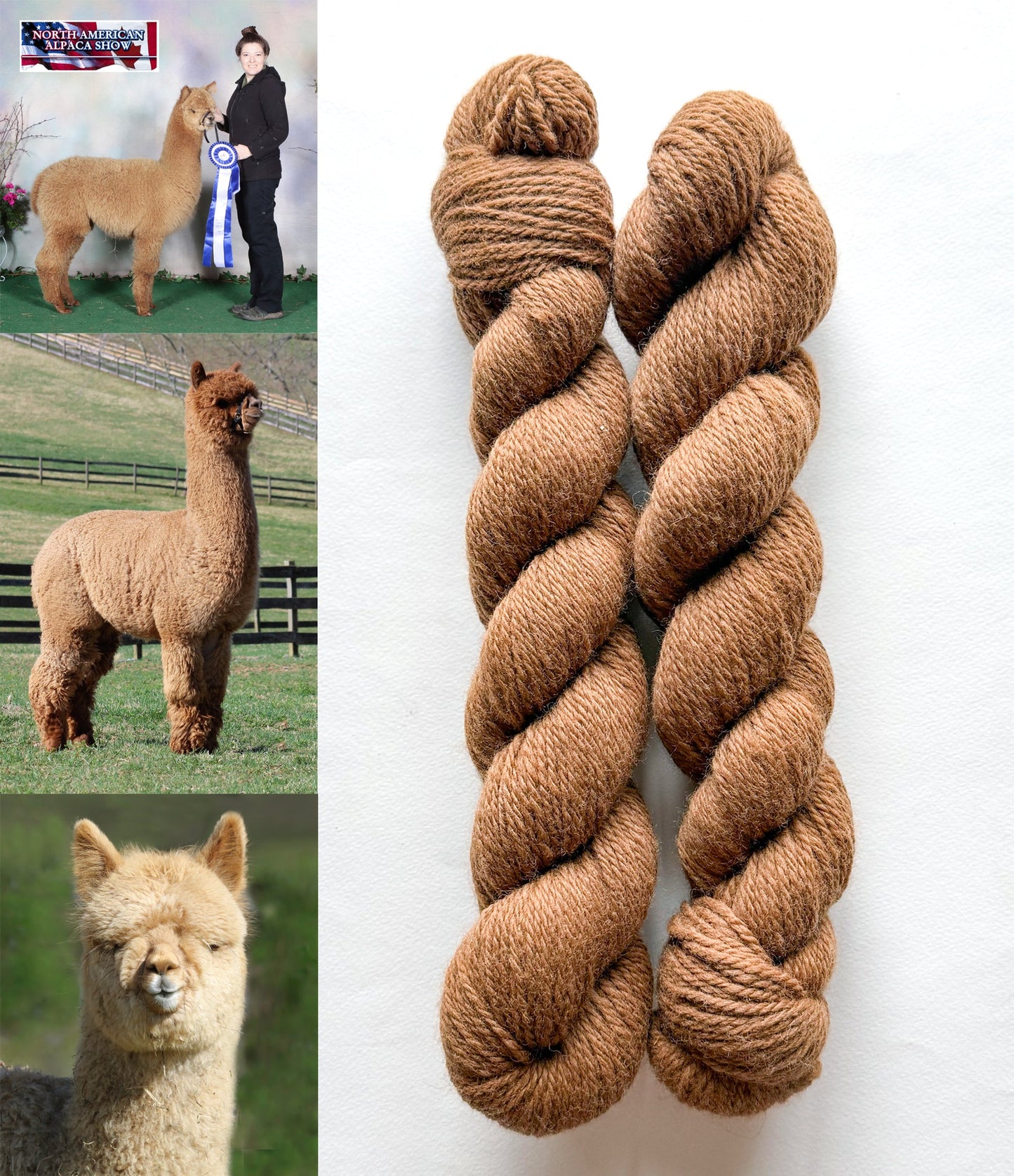 All Natural 3ply Farm Yarn - Prismatic Fiber Arts