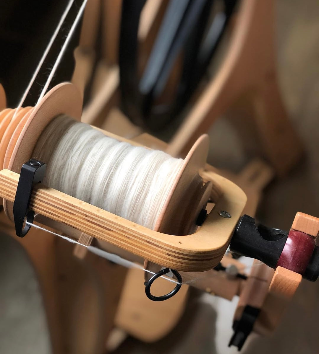 Polwarth Wool Top - Prismatic Fiber Arts