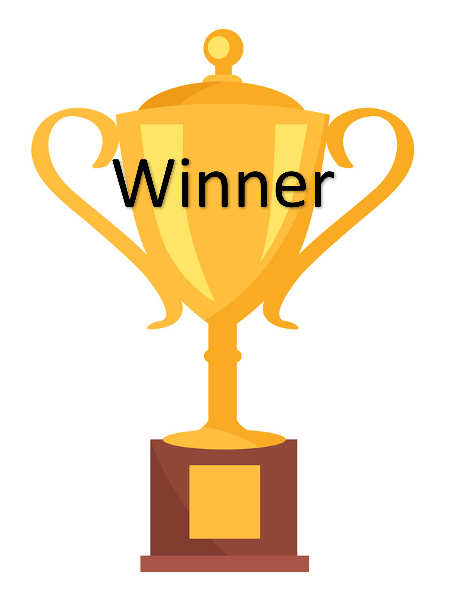 Prize - Prismatic Fiber Arts