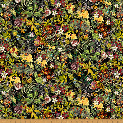 Black Floral Mousing Around 43"/44" Fabric Per Yard - Prismatic Fiber Arts