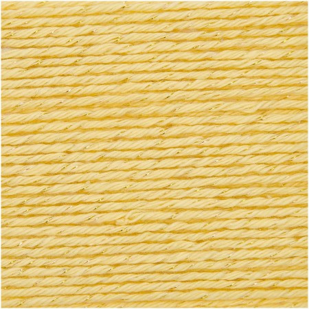 Ricorumi Twinkly Twinkly DK Yarn - Prismatic Fiber Arts