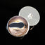 Asian Whip Snake Inspired Sew-On Button Glass Eyes - Prismatic Fiber Arts