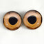 Beige Fish Sew-On Button Glass Eyes - Prismatic Fiber Arts