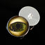Black Lagoon Creature Sew-On Button Glass Eyes - Prismatic Fiber Arts
