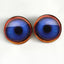 Blue Goose Realistic Decoy Sew-On Button Glass Eyes - Prismatic Fiber Arts
