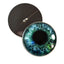 Blue and Green Human Inspired Sew-On Button Glass Eyes - Prismatic Fiber Arts