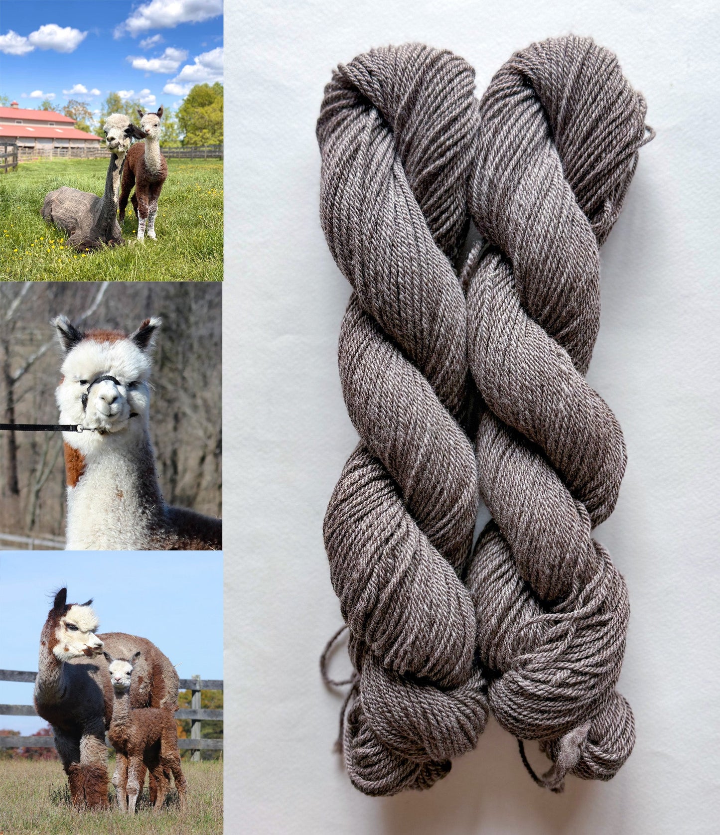 All Natural 3ply Farm Yarn - Prismatic Fiber Arts