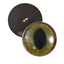 Realistic Green and Brown Cat Sew-On Button Glass Eyes - Prismatic Fiber Arts
