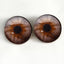 Brown and Gray Hazel Sew-On Button Glass Eyes - Prismatic Fiber Arts