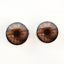 Brown and Gray Hazel Sew-On Button Glass Eyes - Prismatic Fiber Arts
