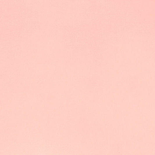 Baby Pink Cuddle 3 58/60" Solid Minky Fabric Per Yard - Prismatic Fiber Arts