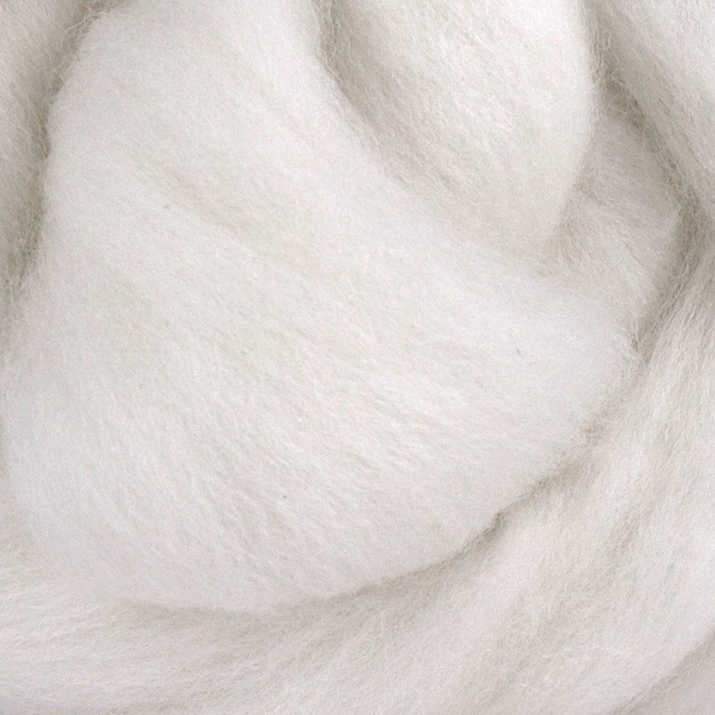 Polwarth Wool Top - Prismatic Fiber Arts