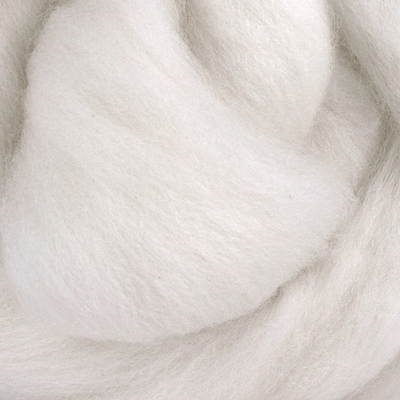 Polwarth Wool Top - Prismatic Fiber Arts