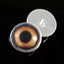 Light Brown Dog Sew-On Button Glass Eyes - Prismatic Fiber Arts