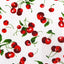 Fruit Printed Poly Cotton Fabric - Prismatic Fiber Arts