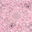 Bandana Print Poly Cotton Fabric - Prismatic Fiber Arts
