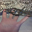 Chantal Deluxe Stretch Sequins Fabric - Prismatic Fiber Arts