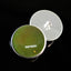 Bright Shiny Green Robber Fly Sew-On Button Glass Eyes - Prismatic Fiber Arts